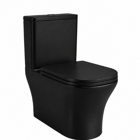 Modern Black One-Piece Toilet